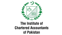 PSTD partner