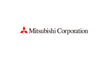PSTD partner