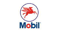 PSTD partner