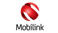 PSTD partner