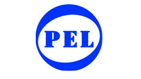 PSTD partner
